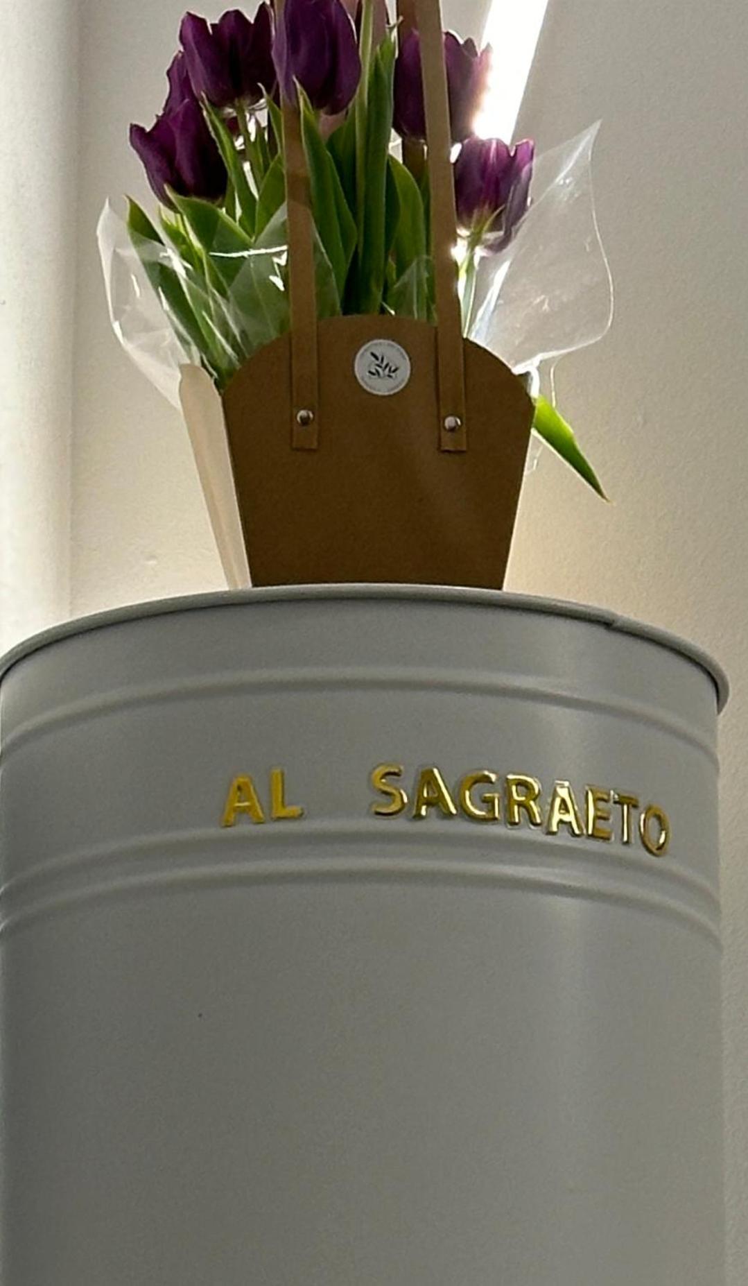 Hotel Al Sagraeto Chioggia Exteriér fotografie